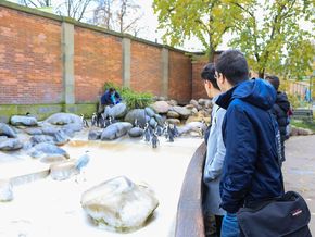 Auch die Pflege der Tiere stand im Fokus. 
