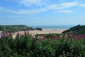 Three Cliffs Bay: The beach